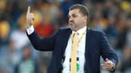 Ange Postecoglou Australia