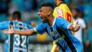Leo Moura Gremio Botafogo Brasileirao Serie A 14052017