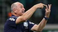 Felipão Scolari Palmeiras 02 06 2019