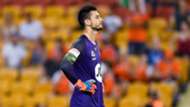 Vedran Janjetovic Wanderers