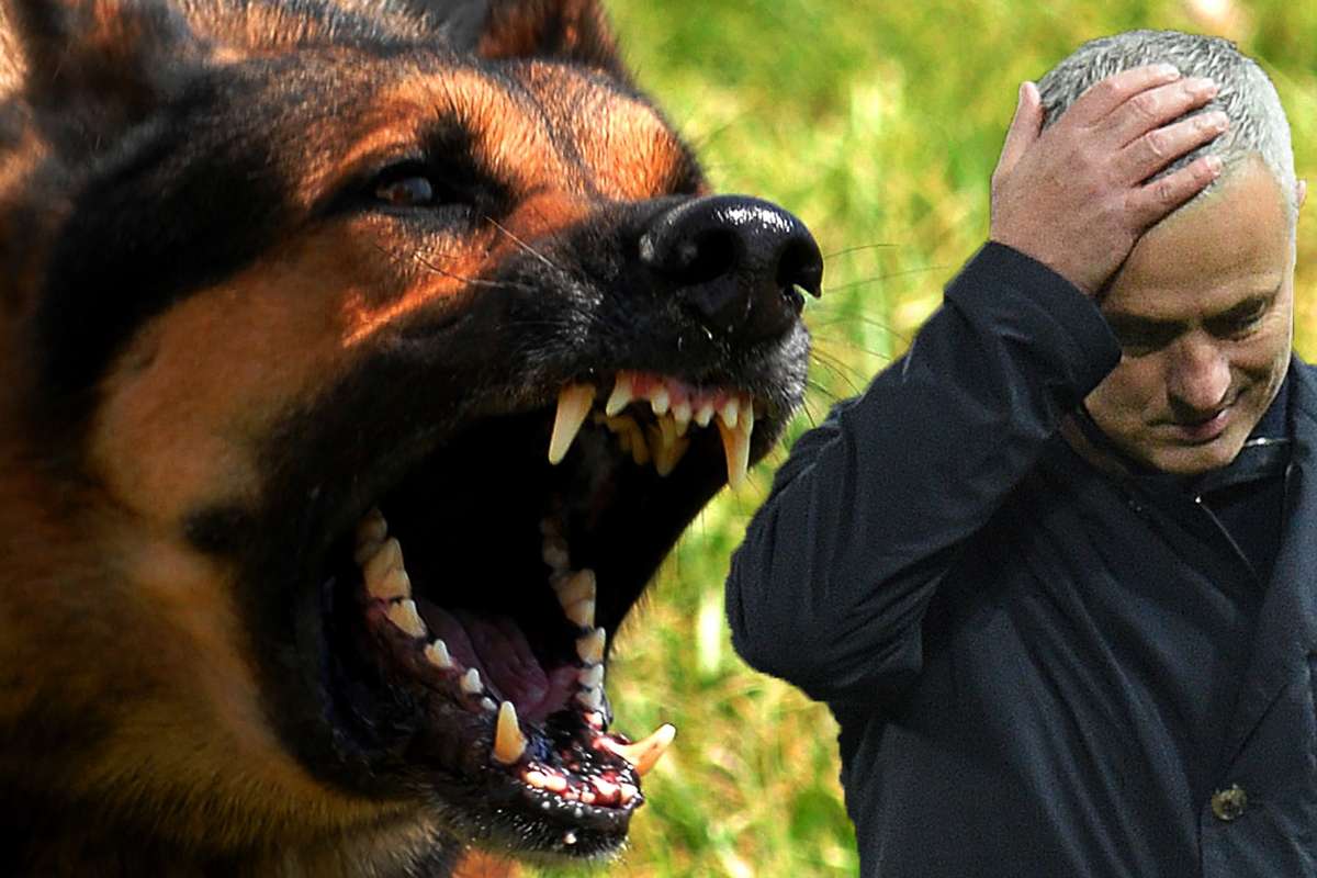 Man United News We Don T Have Any Mad Dogs Mourinho Accuses Midfield Of Lacking Bite Goal Com