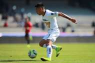 Felipe Mora Pumas 2019