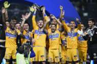 Tigres