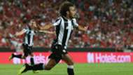 amr warda
