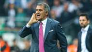 Senol Gunes Besiktas