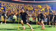 Tigres