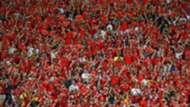 Wales Fans 11062016.
