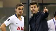 Harry Winks Mauricio Pochettino Tottenham 2018-19