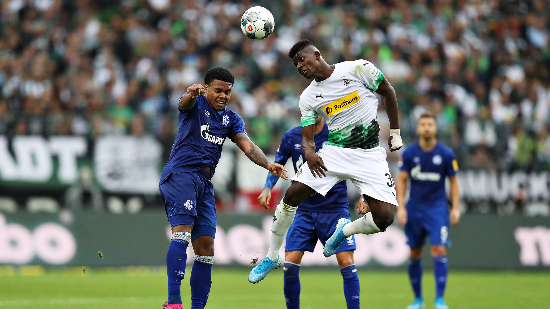 Schalke Gladbach Karten Schalke Gladbach Karten