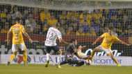 Pumas Tigres