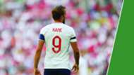 Trophy Larger Graphic England