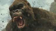 king kong
