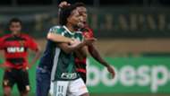 Ze Roberto Palmeiras