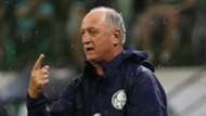 Felipão Scolari Palmeiras 2019
