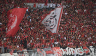 wydad fans
