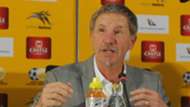 Bafana Bafana, Stuart Baxter