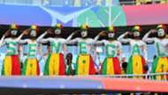 Senegal fans