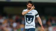 Pumas Alejandro Arribas