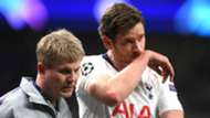 Jan Vertonghen Tottenham 2018-19