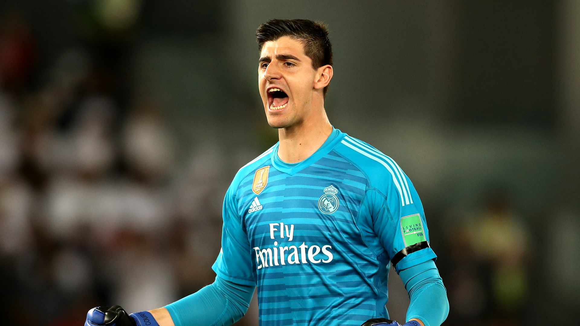 Hasil gambar untuk Courtois