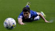 Fernando Forestieri Sheffield Wednesday