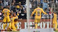 Tigres
