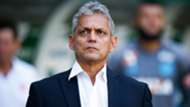 Reinaldo Rueda Palmeiras Flamengo Brasileirao Serie A 12112017