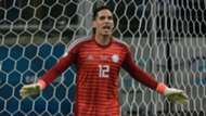 Gatito seleção Brasil Paraguai Copa América 27 06 2019