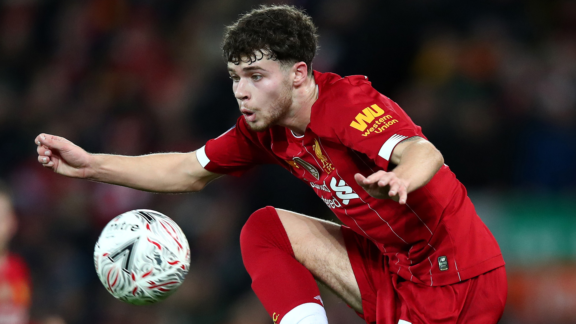 ネコ ウィリアムズ