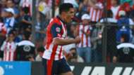 Jesus Sanchez Chivas