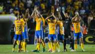 Tigres