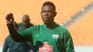 Bafana Bafana, Thulani Hlatshwayo