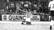 Pelé despedida Santos