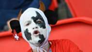 Switzerland fan Euro 2016