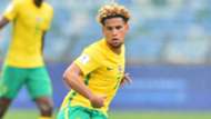 Bafana Bafana, Keagan Dolly