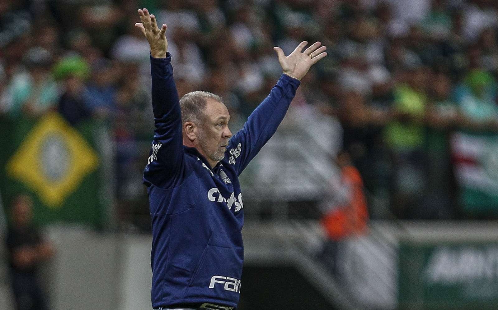 Palmeiras precisa de 10 pontos em 11 jogos para bater o Flamengo