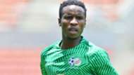 Bafana Bafana, Themba Zwane