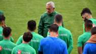 Bert van Marwijk Socceroos