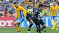 Tigres-Pumas
