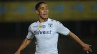 Bidvest Wits, Steven Pienaar