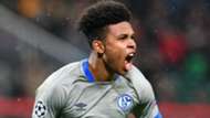 Weston McKennie Schalke