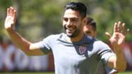 Radamel Falcao Monaco 2017