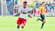 Joao Maleck