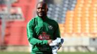 Bafana Bafana, Tokelo Rantie