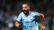 Alex Brosque
