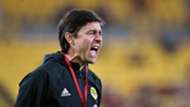 Darije Kalezic Wellington Phoenix
