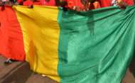Guinea flag