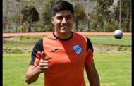 Luis Ali, Bolívar