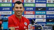 Gary Medel