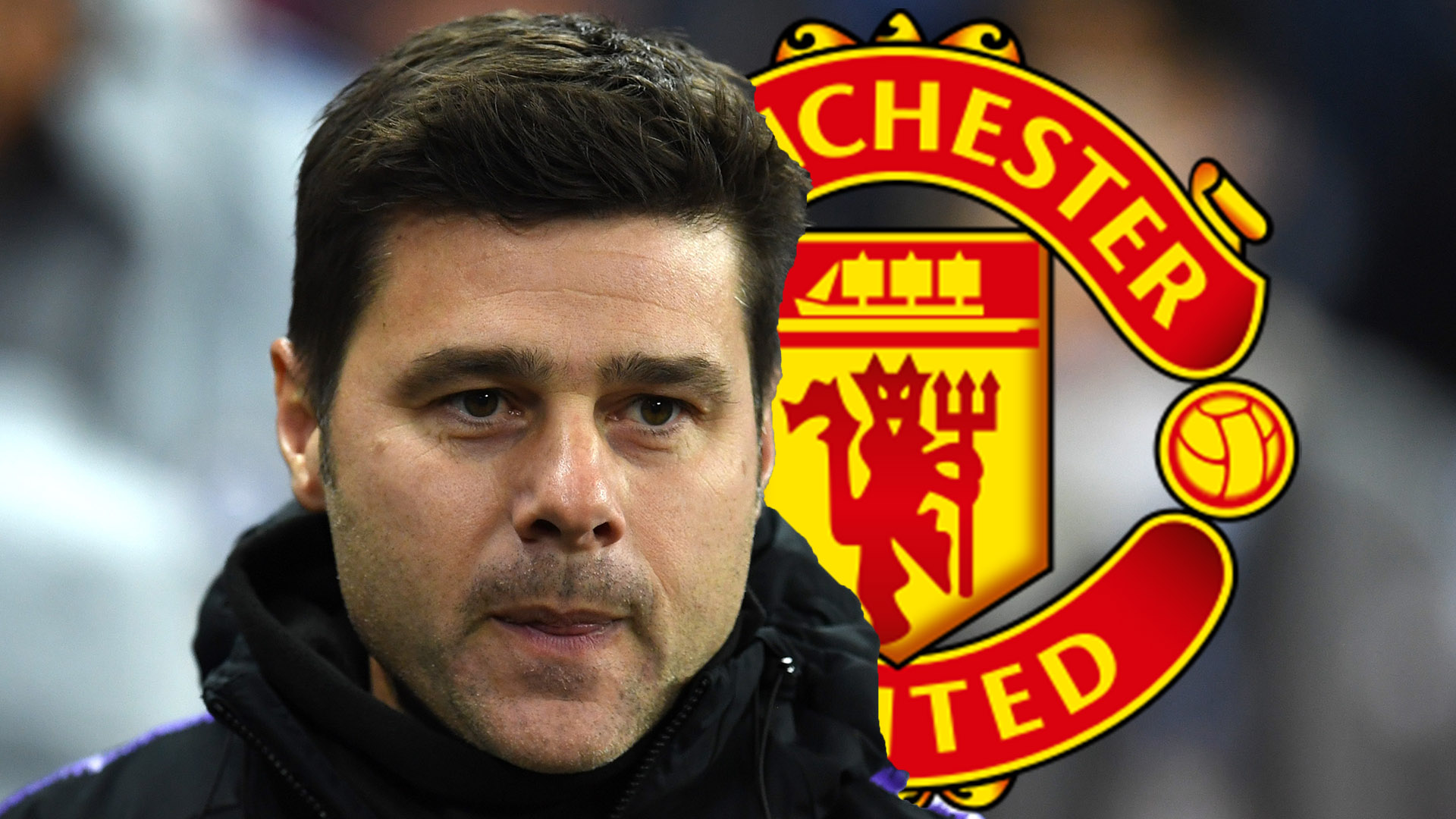 Image result for pochettino manchester united